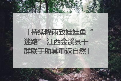 持续降雨致娃娃鱼“迷路” 江西金溪县干群联手助其重返自然