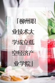 柳州职业技术大学成立低空经济产业学院