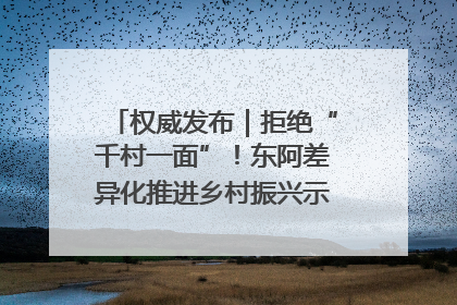 权威发布｜拒绝“千村一面”！东阿差异化推进乡村振兴示范片区建设