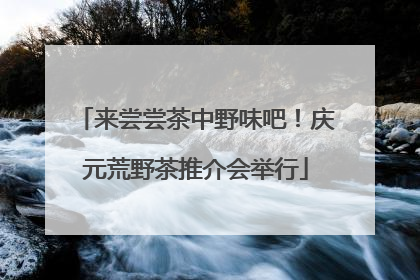 来尝尝茶中野味吧！庆元荒野茶推介会举行