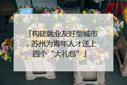 构建就业友好型城市，苏州为青年人才送上四个“大礼包”