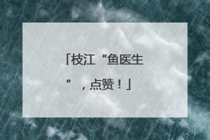 枝江“鱼医生”，点赞！