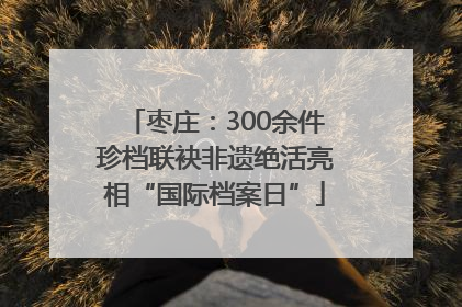 枣庄：300余件珍档联袂非遗绝活亮相“国际档案日”