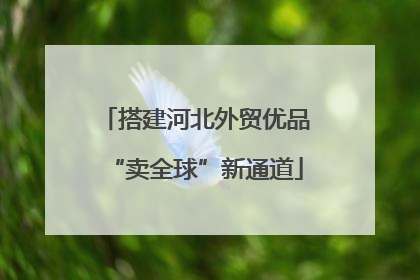 搭建河北外贸优品“卖全球”新通道