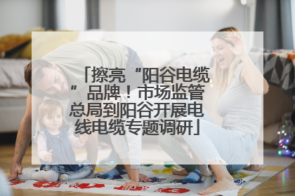 擦亮“阳谷电缆”品牌！市场监管总局到阳谷开展电线电缆专题调研