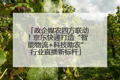 政企媒农四方联动！京东快递打造“智能物流+科技助农”行业直播新标杆