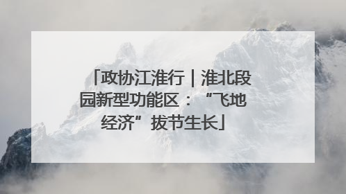 政协江淮行｜淮北段园新型功能区：“飞地经济”拔节生长
