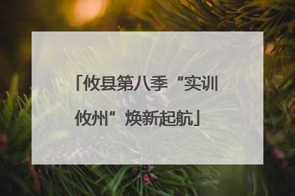 攸县第八季“实训攸州”焕新起航