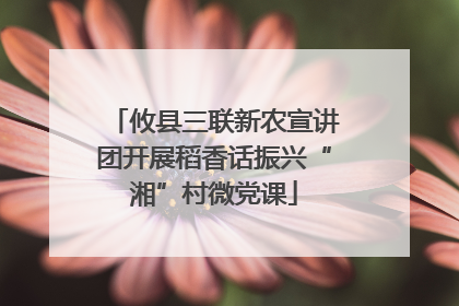 攸县三联新农宣讲团开展稻香话振兴“湘”村微党课