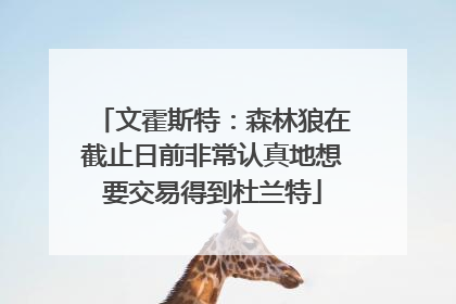 文霍斯特：森林狼在截止日前非常认真地想要交易得到杜兰特