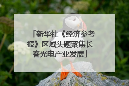 新华社《经济参考报》区域头题聚焦长春光电产业发展