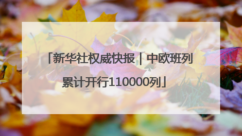 新华社权威快报｜中欧班列累计开行110000列