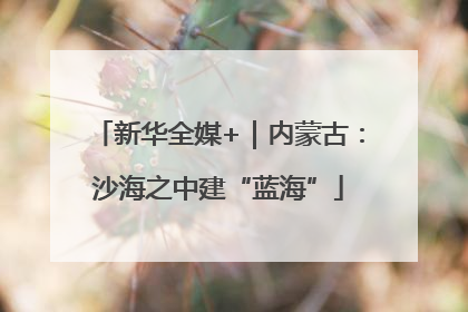 新华全媒+｜内蒙古：沙海之中建“蓝海”