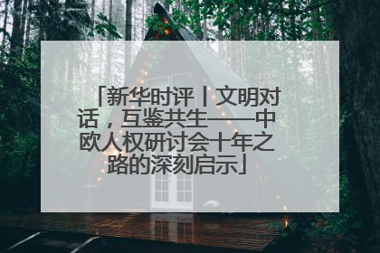 新华时评丨文明对话，互鉴共生——中欧人权研讨会十年之路的深刻启示
