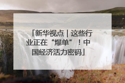 新华视点｜这些行业正在“爆单”！中国经济活力密码