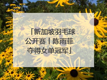 新加坡羽毛球公开赛丨陈雨菲夺得女单冠军