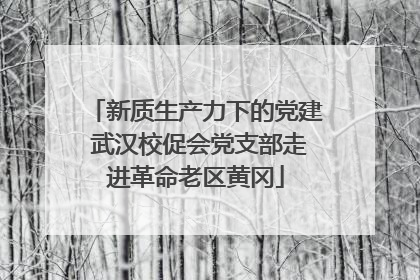 新质生产力下的党建 武汉校促会党支部走进革命老区黄冈