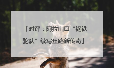 时评：阿拉山口“钢铁驼队”续写丝路新传奇