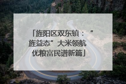 旌阳区双东镇：“旌益态”大米领航 优粮富民谱新篇