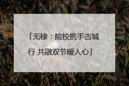 无棣：院校携手古城行 共融双节暖人心