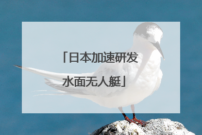 日本加速研发水面无人艇
