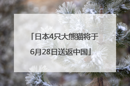 日本4只大熊猫将于6月28日送返中国