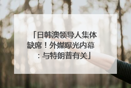 日韩澳领导人集体缺席！外媒曝光内幕：与特朗普有关