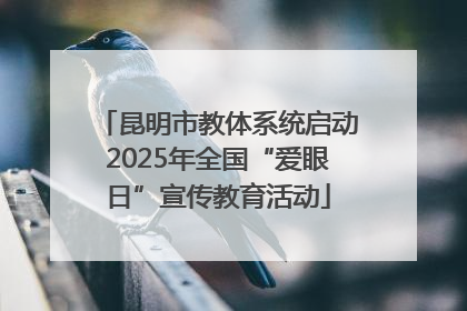 昆明市教体系统启动2025年全国“爱眼日”宣传教育活动