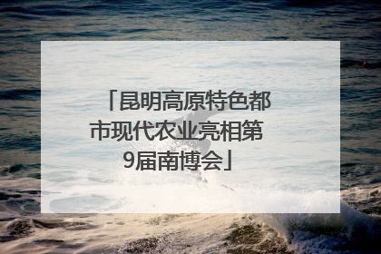 昆明高原特色都市现代农业亮相第9届南博会
