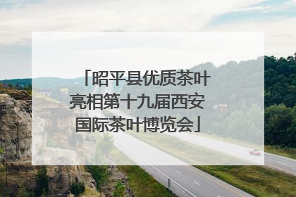 昭平县优质茶叶亮相第十九届西安国际茶叶博览会