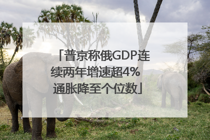 普京称俄GDP连续两年增速超4% 通胀降至个位数