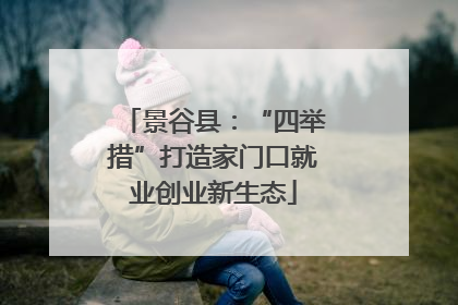 景谷县：“四举措”打造家门口就业创业新生态