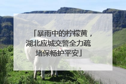 暴雨中的柠檬黄，湖北应城交警全力疏堵保畅护平安