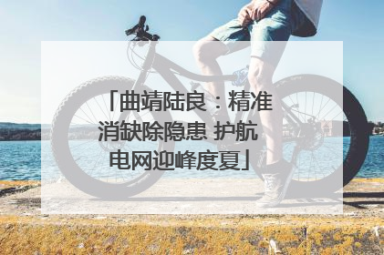 曲靖陆良：精准消缺除隐患 护航电网迎峰度夏