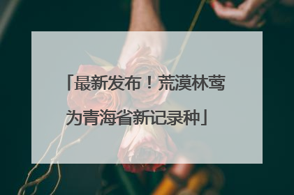 最新发布！荒漠林莺为青海省新记录种