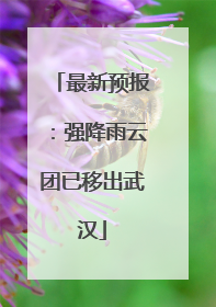 最新预报：强降雨云团已移出武汉