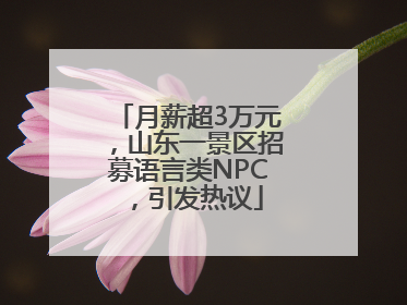 月薪超3万元，山东一景区招募语言类NPC，引发热议