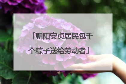 朝阳安贞居民包千个粽子送给劳动者