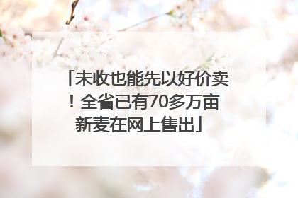 未收也能先以好价卖！全省已有70多万亩新麦在网上售出