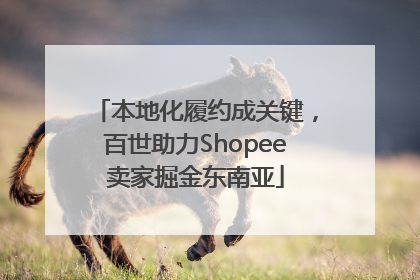 本地化履约成关键，百世助力Shopee卖家掘金东南亚