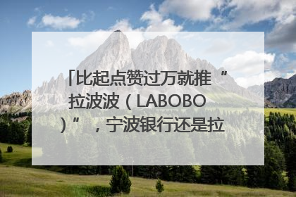 比起点赞过万就推“拉波波（LABOBO）”，宁波银行还是拉业绩吧｜财经辣评