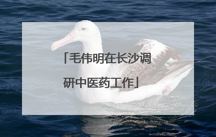 毛伟明在长沙调研中医药工作