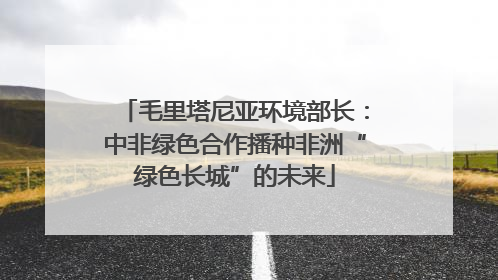 毛里塔尼亚环境部长：中非绿色合作播种非洲“绿色长城”的未来