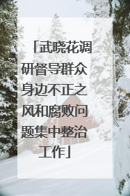 武晓花调研督导群众身边不正之风和腐败问题集中整治工作