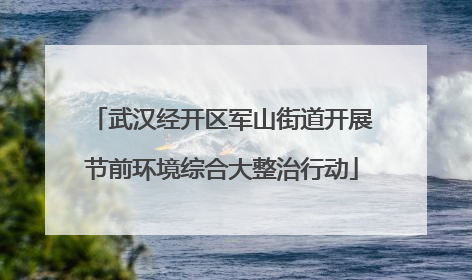武汉经开区军山街道开展节前环境综合大整治行动