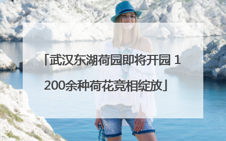 武汉东湖荷园即将开园 1200余种荷花竞相绽放