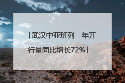 武汉中亚班列一年开行量同比增长72%
