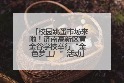 校园跳蚤市场来啦！济南高新区黄金谷学校举行“金色梦工厂”活动