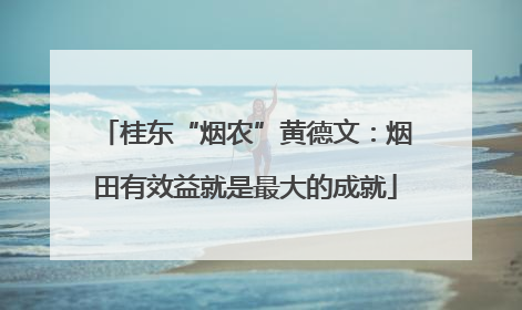 桂东“烟农”黄德文：烟田有效益就是最大的成就