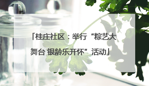 桂庄社区：举行“粽艺大舞台 银龄乐开怀”活动